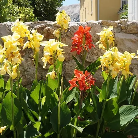 Mandy Lejlighed Baška